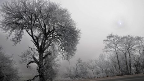 Сняг вали на много места в страната, пътищата - чисти