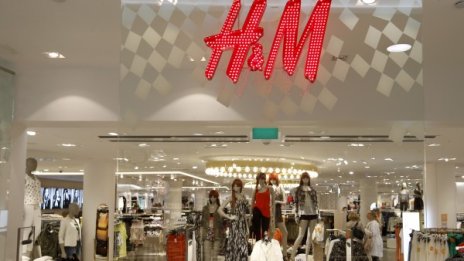 Мъчения на зайци в Китай отказват H&M от ангората