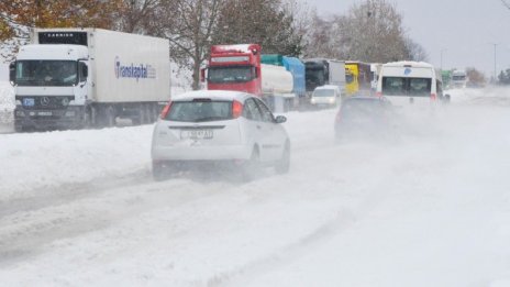 Близо 4 км опашка от тирове на ГКПП "Дунав мост"