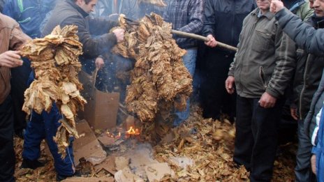 Производители на ориенталски тютюн готвят протести