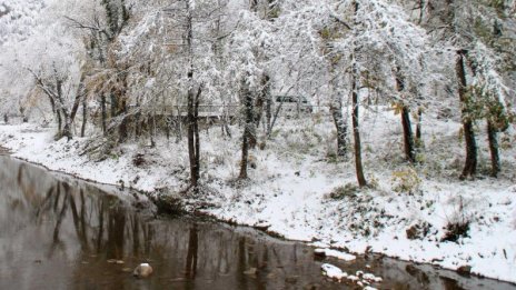 Студена и ветровита събота, максимални температури 1°-6°