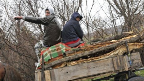 Глоби за 14 000 лева наложили лесничеи от Монтана на бракониери