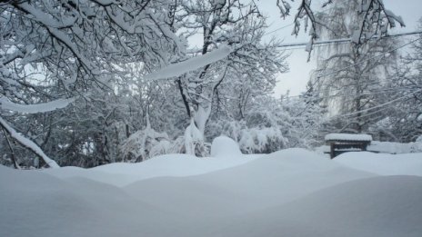 Зимният януари – безснежен, слънчев и топъл