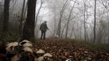 Българите все по-бедни, по-болни, по-прости и все по-малко на брой