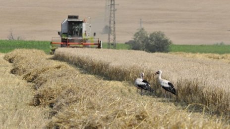 Чужденци ще купуват BG земи, ако са живели 3 г. у нас