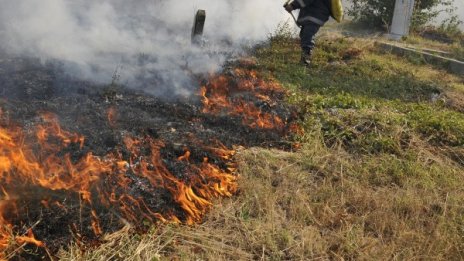 Пожар горя в гробището в Добрич