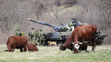 Денят в снимки