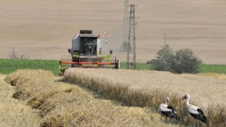 Шейхове искат да развиват земеделие край Черноморието ни