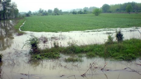 Водата откъсна жени с деца от дома им във видинско село