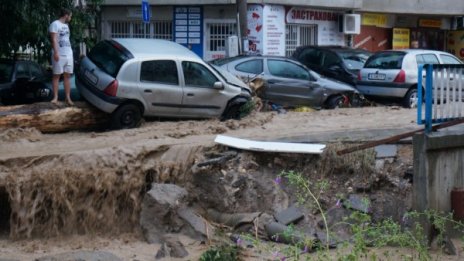 Незаконната сеч над "Аспарухово" - една от причините за трагедията във Варна 