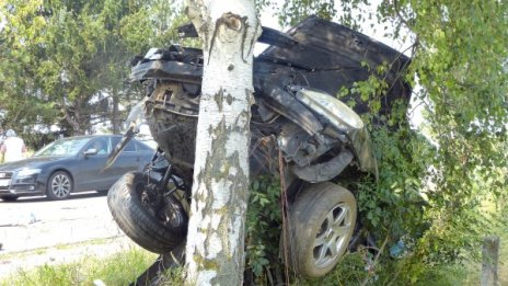 "Пежо" се натресе в билборд и дърво