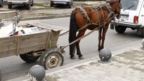 Кола помете каруца, 19-годишна е с опасност за живота