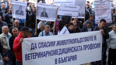 Ветеринари отново на протест в столицата