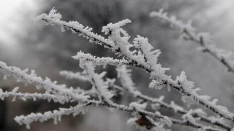 Първи снежинки валят в Пампорово и Рожен