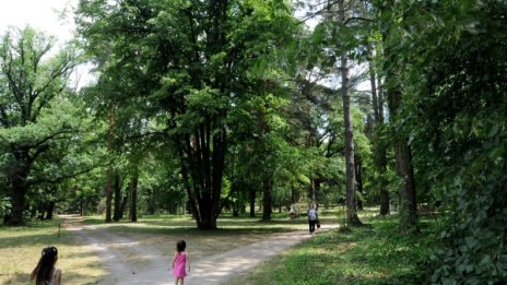 Трети сме в Европа по биоразнообразие в горите