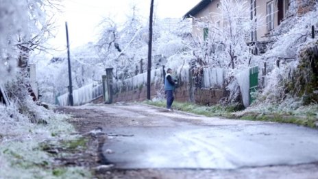 19 селища във Видинско все още са без ток