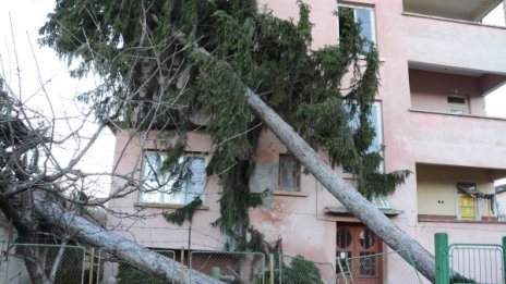 Бури вилняха в Северозападна България