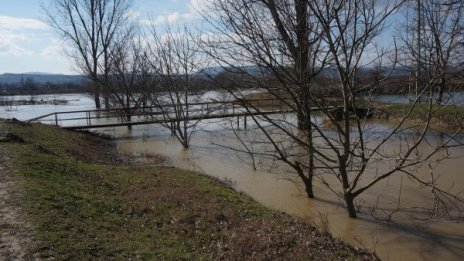 В Русенско водата минава през дигите, наводнени са ниви 