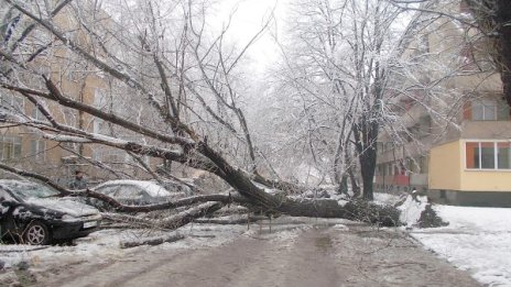 Екипи на ЧЕЗ възстановяват тока в части от Западна България