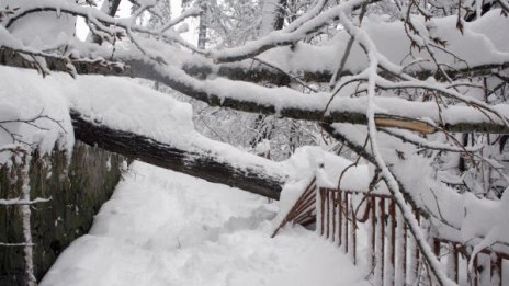 Снежна драма: Бедстват нови общини, издирват хора