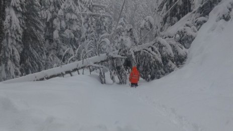 68 900 клиенти на ЕВН все още са без ток заради снега