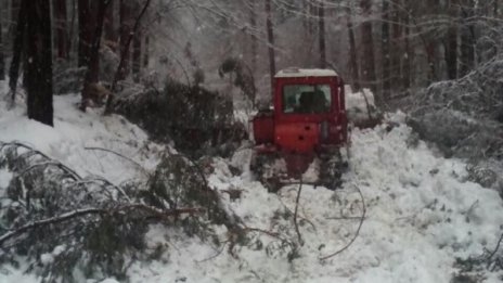 34 човека бяха спасени от снежния капан в Родопите