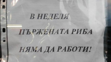 Социални разни: разписание на автобус и огромни устни