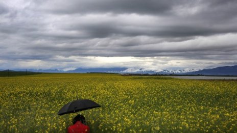 Днес времето на изток ще е слънчево, на запад - с облаци