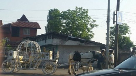 Лъскат каляската в кв. "Христо Ботев"! За кого ли?