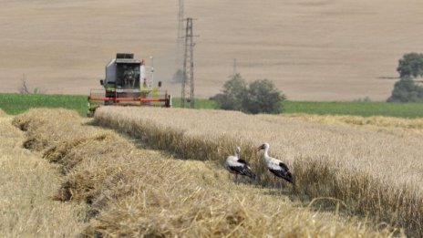 Земеделци изтърват срока за регистрация, глобяват ги