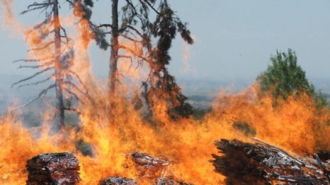 Два хеликоптера и 200 души гасят пожара в Рила