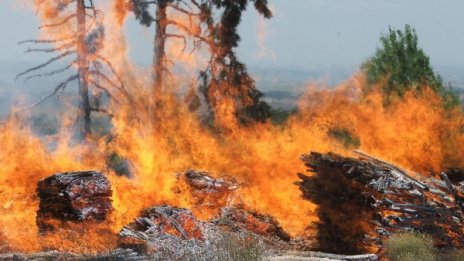 Пожарът в Рила спря да напредва, краят е близо