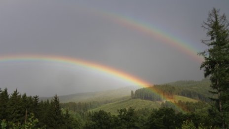 Денят в снимки