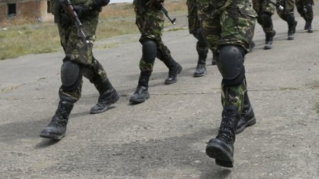 Властите в Чехия са готови да пратят войници за охрана на границата