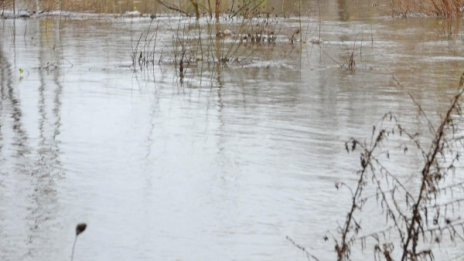 МОСВ: Покачват се нивата на реките