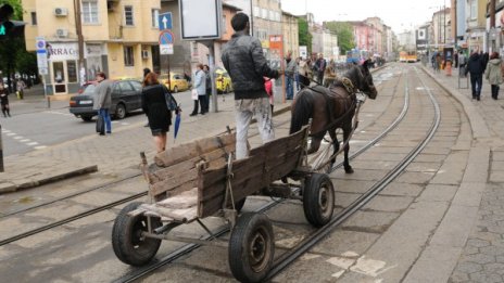 Малтретираните коне с нов дом – в приют