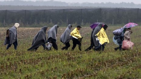 Декември чакаме първите бежанци от евроквотите