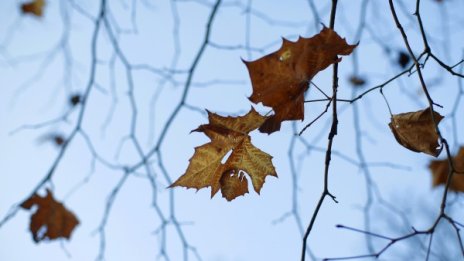 Утре ли? И утре ще е слънчево, но без грам вятър