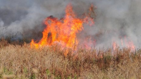 Гората край Габрово пак лумна, вятърът възобнови пожара 