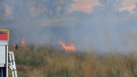 Локализираха пожара край Габрово