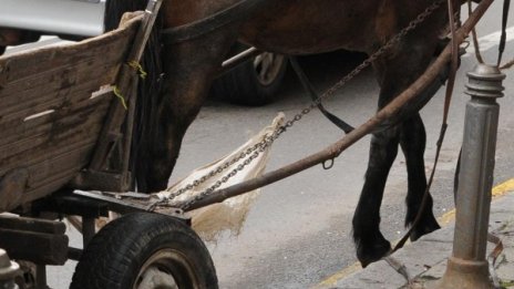 Възрастен мъж загина при сблъсък между бус и каруца