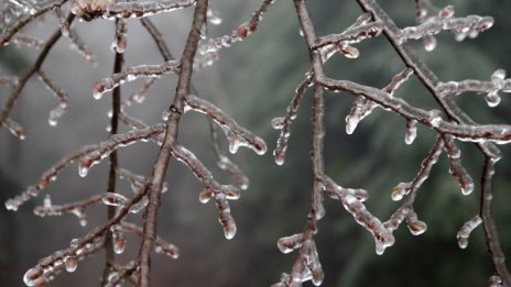 Без сняг за Коледа, за Нова година – дъжд