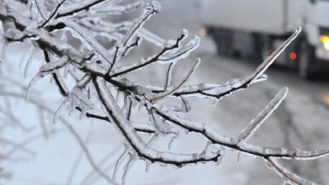 Лед скова дърветата в Плевен, Враца и Монтана