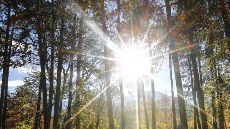 Топъл януарски ден, слънчево и до 16°