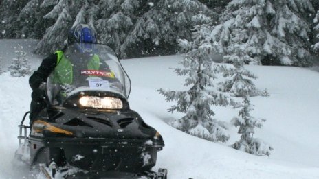 Пет часа търсиха дядо и внуче, изгубени в гора в Пампорово 