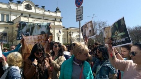 Шествие в защита на бездомните животни почна в София