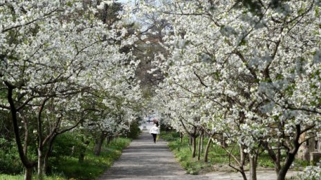 Затоплянето започва: Слънце и до 23° днес