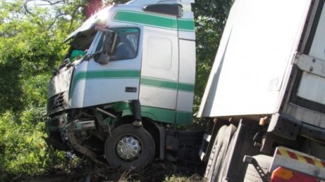 Тираджия с два промила се заби в дърво