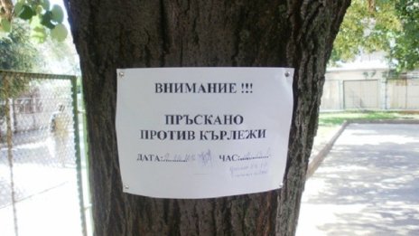 Внимание! Кърлежите плъзват по поляните