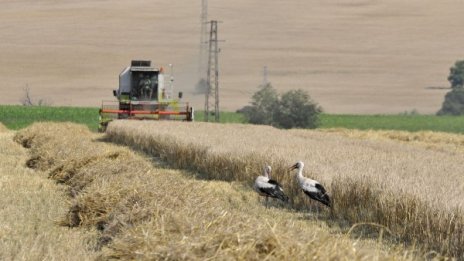 Работата без трудов договор вече ще е законна